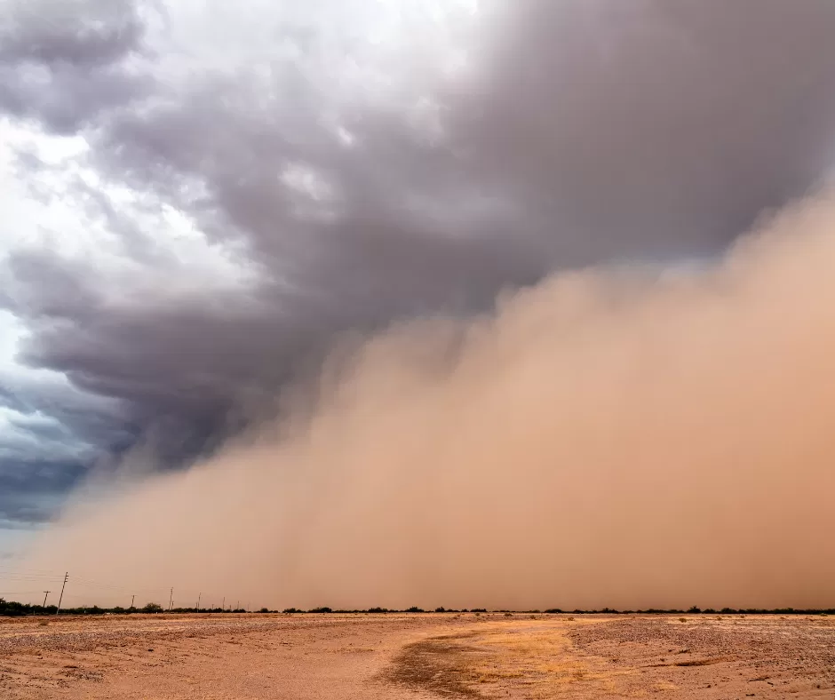 Monsoon Awareness Week - Drive Safe
